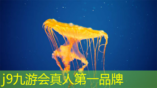 j9九游会官网-真人游戏第一品牌：伴娘需要做什么游戏摆动作