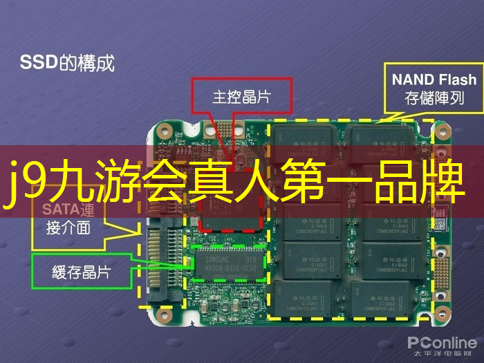 像素枪3d游戏大海
