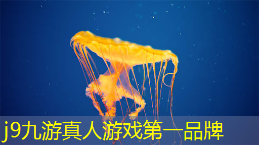 ai游戏原画仙侠人物女