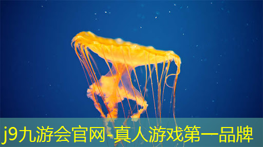 伴娘需要做什么游戏摆动作